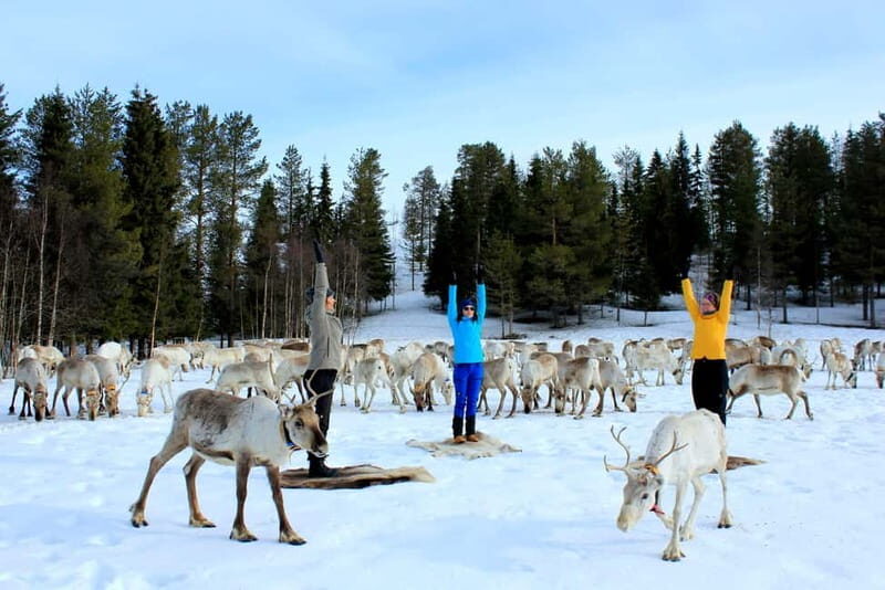 Reindeer yoga in Kuusamo - Why Reindeer Hides as Yoga Mats Matter