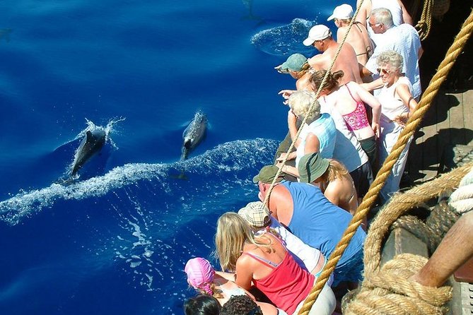 Relax Boat Trip & Swimming Tour From Alanya - Customer Reviews Summary