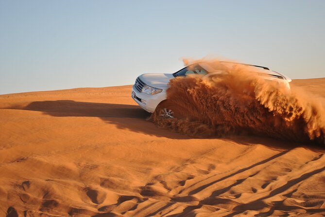 Relax Desert Safari Tour With Camel Ride and Sand Boarding - Accessibility Considerations