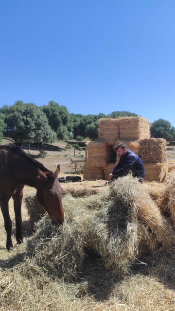 Relax & Mindfulness With Horses in Vejer De La Frontera - Preparation and Restrictions