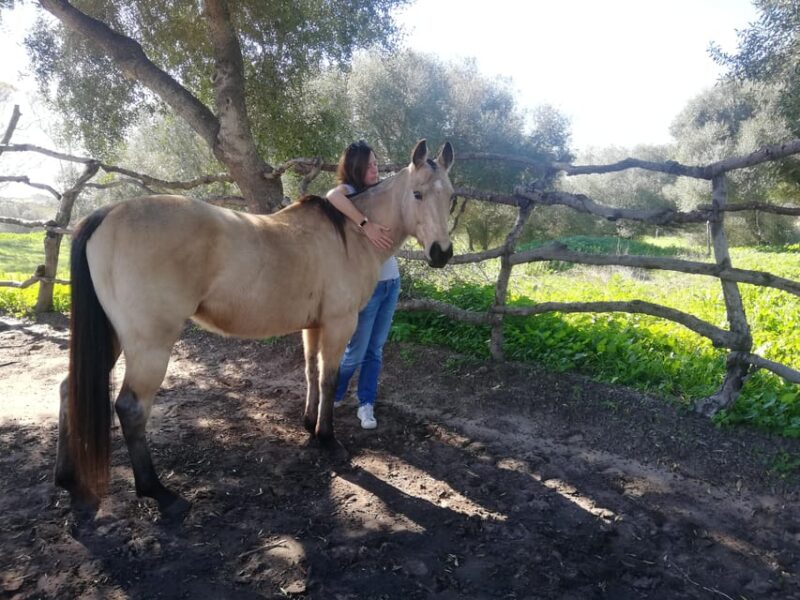 Relax & Mindfulness With Horses in Vejer De La Frontera - Explore the Horses Herd Dynamics