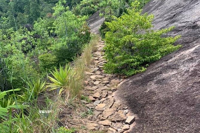 Relaxed Hike to Anse Major | Mahé | Seychelles | Private Tour | Perfect - Health and Accessibility