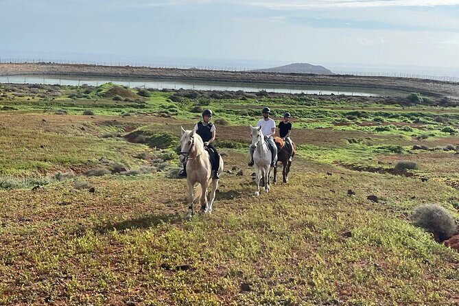 Relaxing Horse Riding Tour in Gran Canaria - What to Expect from the Horse Riding Tour
