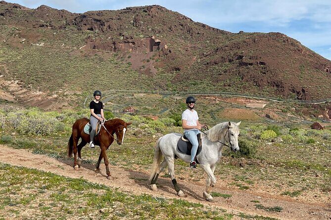 Relaxing Horse Riding Tour in Gran Canaria - Practical Details: Pricing, Group Size, and Logistics
