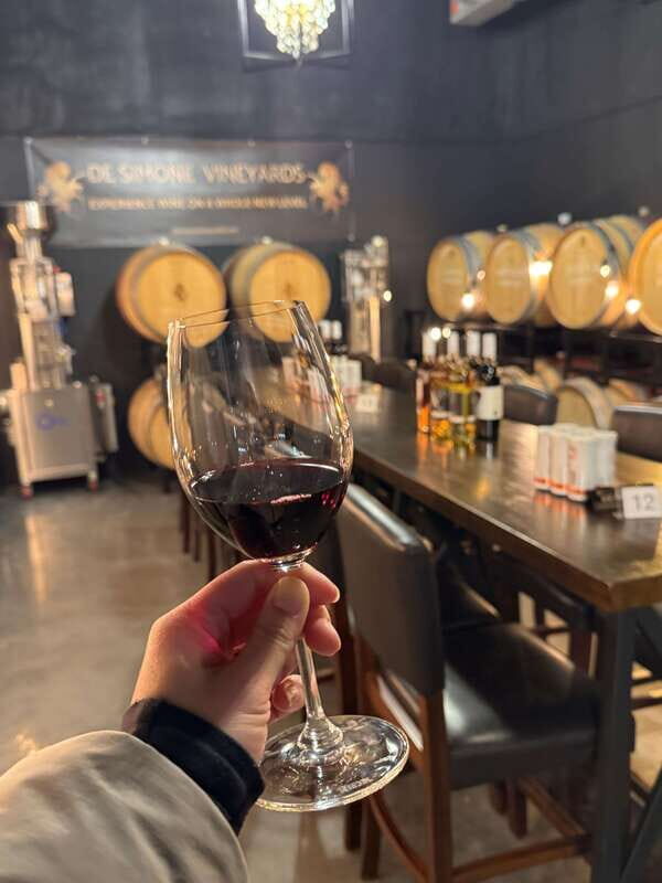 Relaxing Lunch & Wine Tour through Niagara's Wine Country - An Introduction to the Tour Experience
