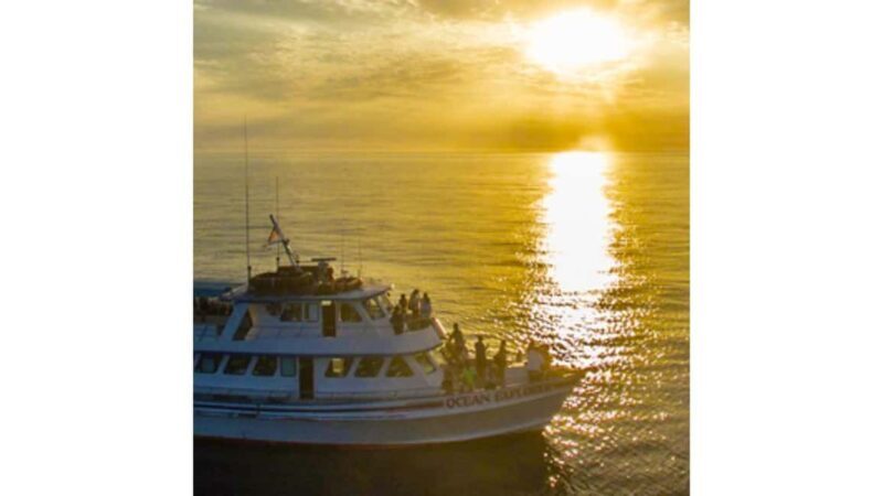 Relaxing Sunset/Evening Cruise in Newport Beach - The Value of This Experience