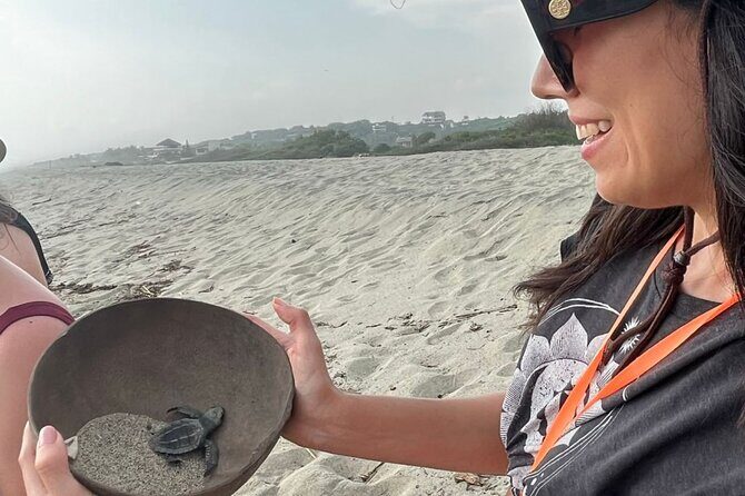 Release of Sea Turtles at Sunset - The Sum Up