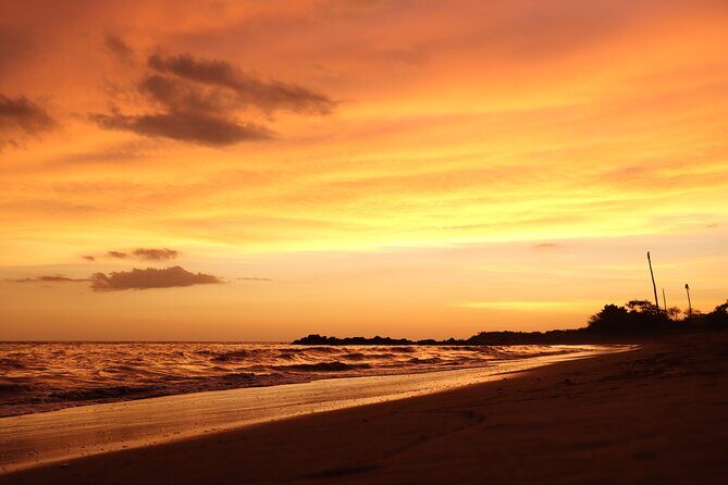 Release of Sea Turtles in Camp Tortuguero - What Travelers Are Saying