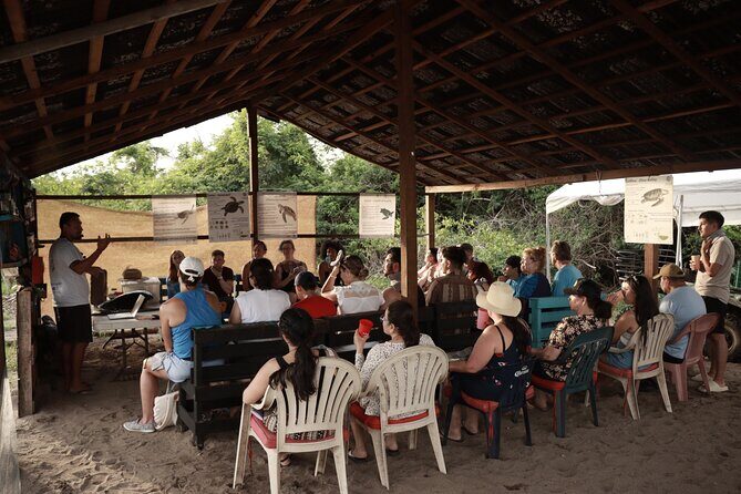 Release of Sea Turtles in Camp Tortuguero - FAQ