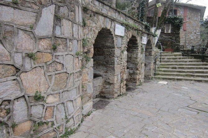 Remains of Ephesus Tour From Kusadasi - Small Group - Highlights of the Tour