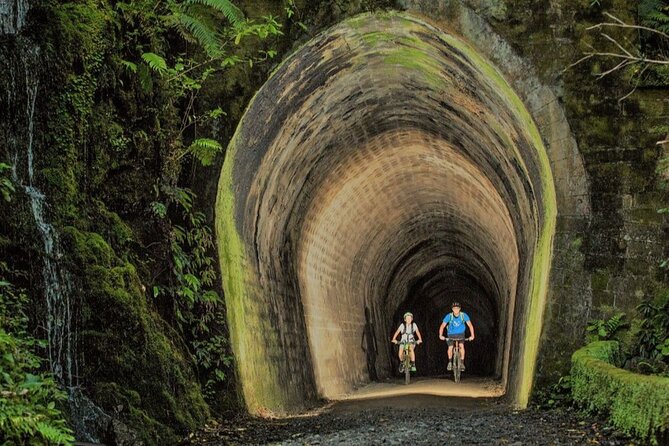 Remutaka Rail Trail Ebike Explorer Cycle Tour - Scenic Highlights and Attractions