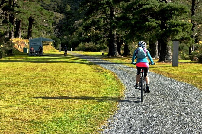 Remutaka Rail Trail Explorer - Ebike Cruise Ship Shore Excursion - Key Details to Know