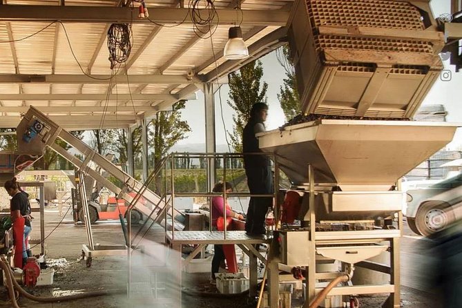 Renacer Winery Experience - Guest Reviews