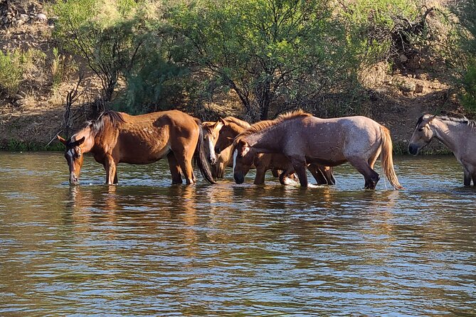 Rent a Paddle Board And Float the Lower Salt River - Location and Transportation