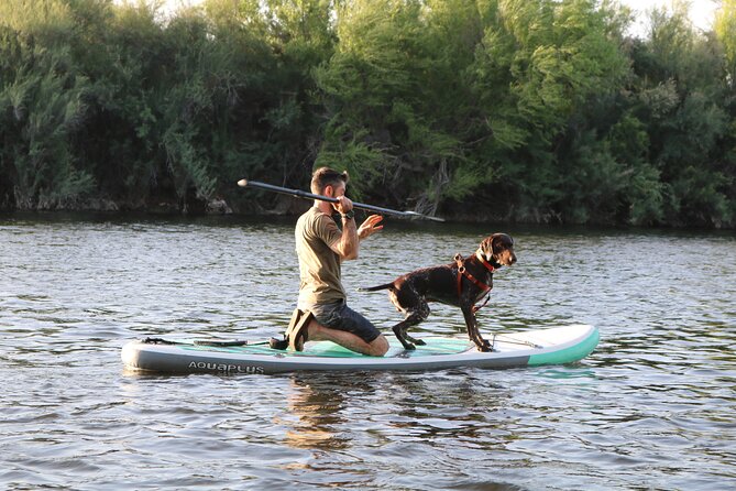 Rent a Paddle Board And Float the Lower Salt River - Reviews and Feedback