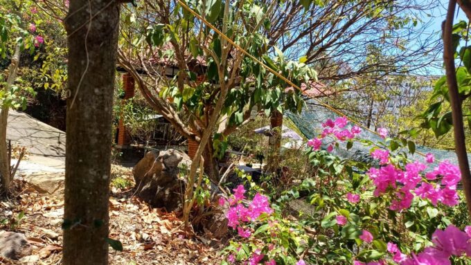 Rent a Tent to Eat and Party at Co Tien Lu Restaurant - Booking and Cancellation Policy