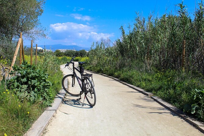 Rent a Trekking Bike: Full Day 24 Hours - Additional Considerations