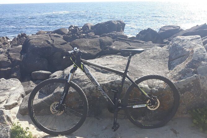 Rent mountain bike for bike path old railway to Famalicão - The Highlight: Visiting the Monastery of Rates