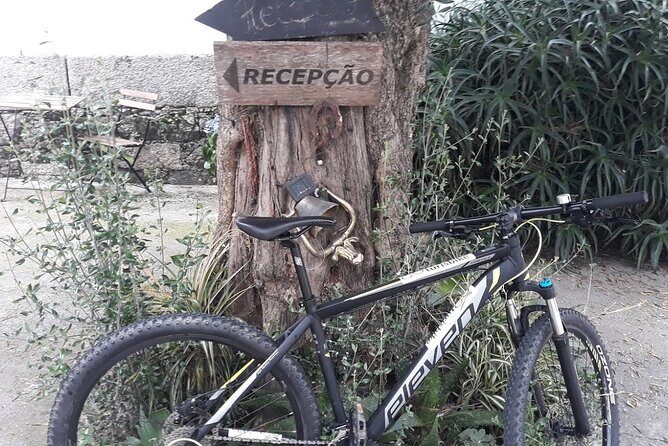Rent mountain bike for bike path old railway to Famalicão - What to Expect During the Ride
