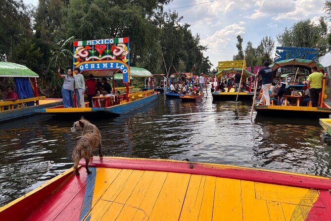 Rent our private boat (trajinera) per hours - Final Thoughts