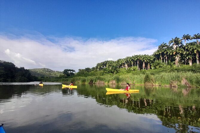 Rental Kayaking or Stand-up Paddle 2H - What Makes This Tour Special?