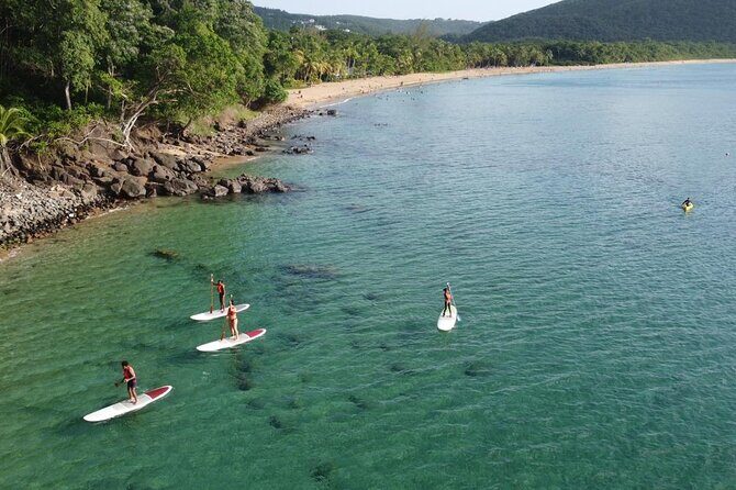 Rental Kayaking or Stand-up Paddle 2H - The Sea Paddling Option