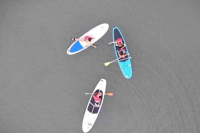 Rental of Boards and Stand up Paddle Lessons - Accessibility and Participation