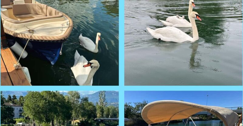 Rental of Electric Boats Without a License - Recreational Activities Offered