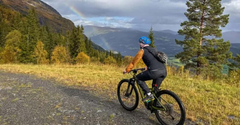 Rentals | E-Mountain Bike - Full Suspension - Good To Know
