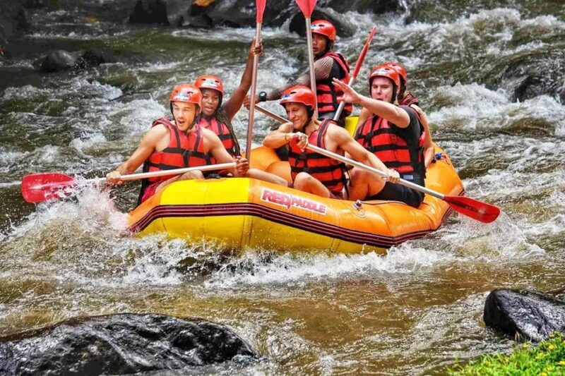 [Rentcar Included] Bali Ayung River Rafting Tour - Itinerary and Experience