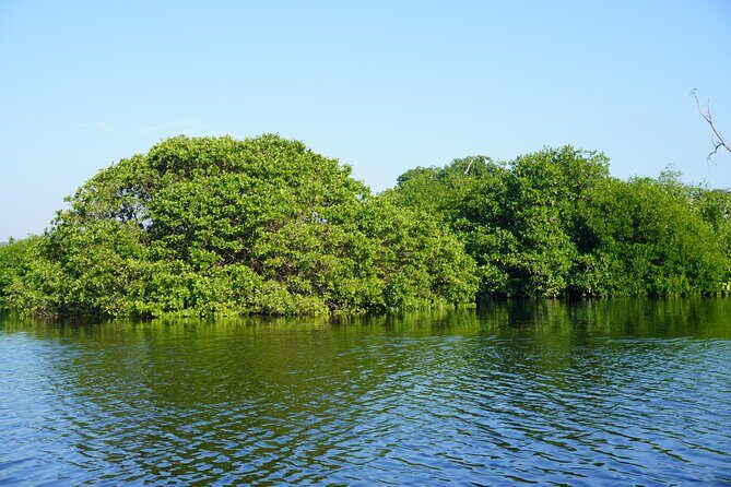 Reptile Eco Tour in Oaxacas Coastal Communities - Frequently Asked Questions