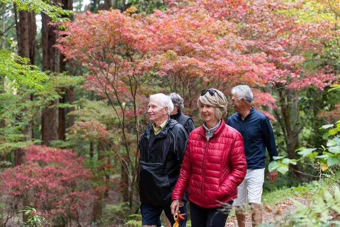 Rere Falls & Eastwoodhill Arboretum Tour with Refreshments - Key Points