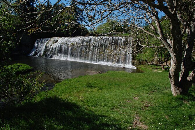 Rere Falls & Eastwoodhill Arboretum Tour with Refreshments - Final Thoughts: Who Will Love This Tour?