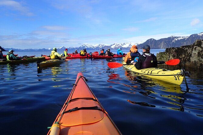 Resurrection Bay Waterfall And Rainforest Adventure - An In-Depth Look at the Resurrection Bay Waterfall And Rainforest Adventure