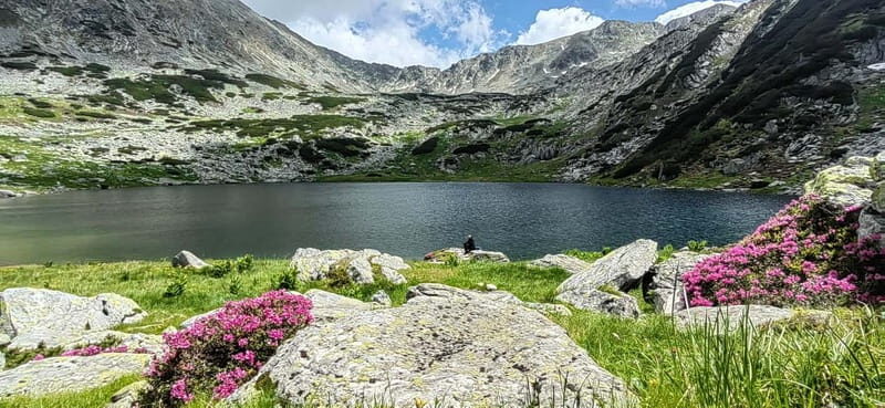 Retezat National Park: Full day hike from Cluj Napoca - Introduction to a Romanian Mountain Adventure