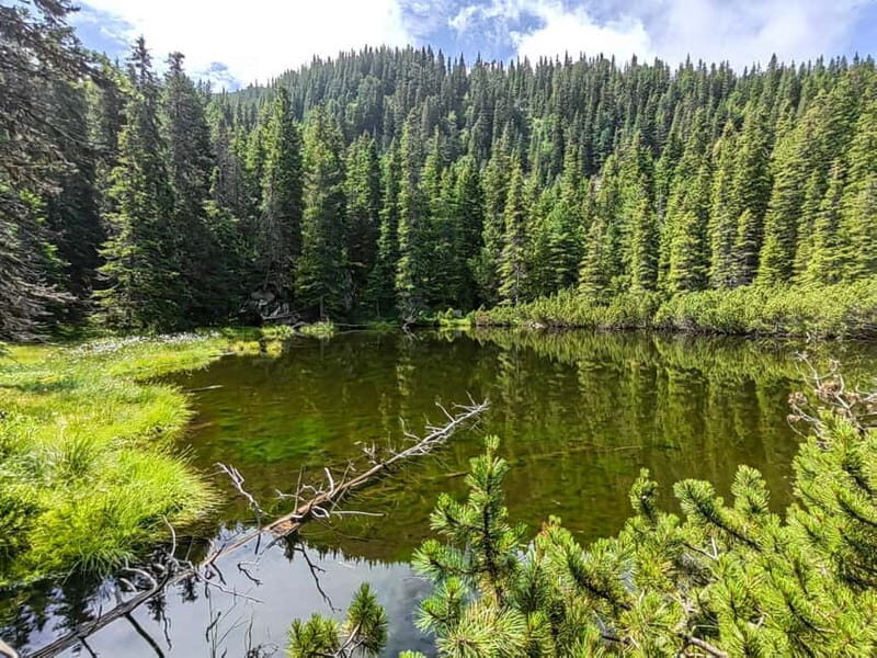 Retezat National Park: Full day hike from Cluj Napoca - What’s Included and What’s Not