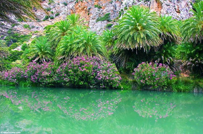 Rethymno/Chania: Preveli Beach and Kourtaliotiko Gorge Tour - The Sum Up