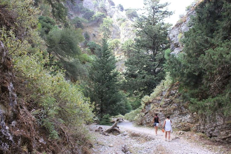 Rethymno: Imbros Gorge and Frangokastello Beach Hiking Tour - An In-Depth Look at the Imbros Gorge and Frangokastello Tour