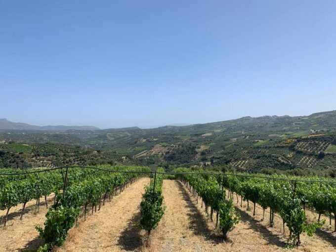 Rethymno: Private Wine Tour of Dafnes Valey With Lunch - Contact Information