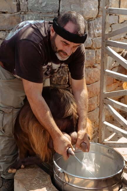 Rethymno: Shepherd For A Day - What’s the Value?