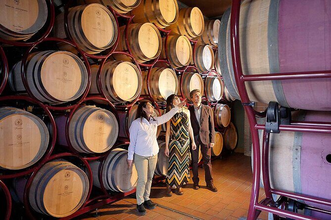 Retrospettiva di Marchesale Wine Tasting and Tour in Bolgheri - Authenticity and Review Highlights