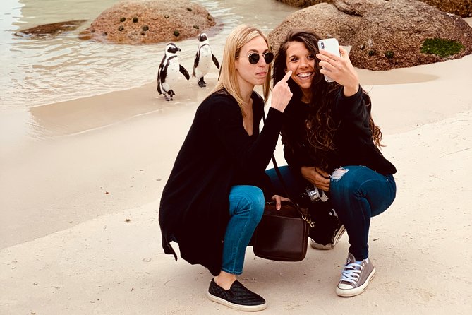 Revel in the Cape Peninsula (Penguins & Cape of Good Hope) - Scenic Chapmans Peak Drive