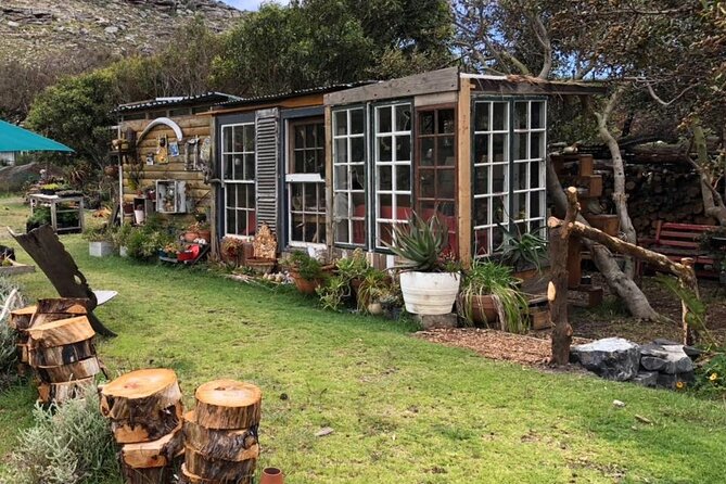 Revel in the Cape Peninsula (Penguins & Cape of Good Hope) - Accessibility and Dietary Options