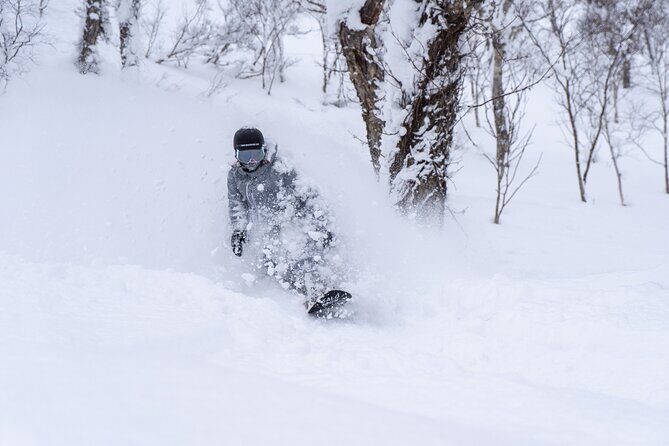 Revelstoke Mountain Photography Tours - What to Expect from the Tour Itinerary