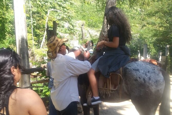 Rey Spearo - Enchanting And Romantic Custom Created Tours - Pickup and Transportation