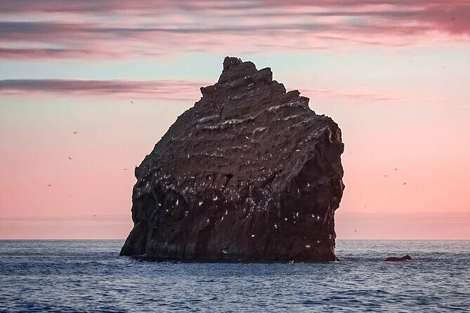 Reykjanes Peninsula Private tour Iceland - The Sum Up