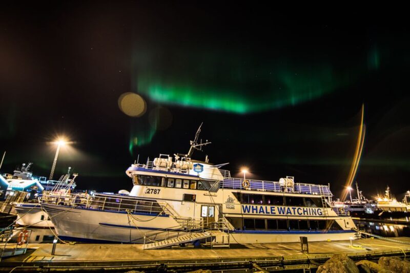 Reykjavik: 2-Hour Northern Lights by Boat with Backup Plan - What to Expect on the Tour  