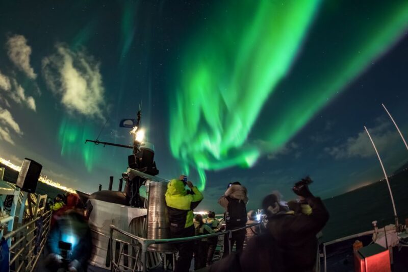 Reykjavik: 2-Hour Northern Lights by Boat with Backup Plan - The Experience and the Environment  