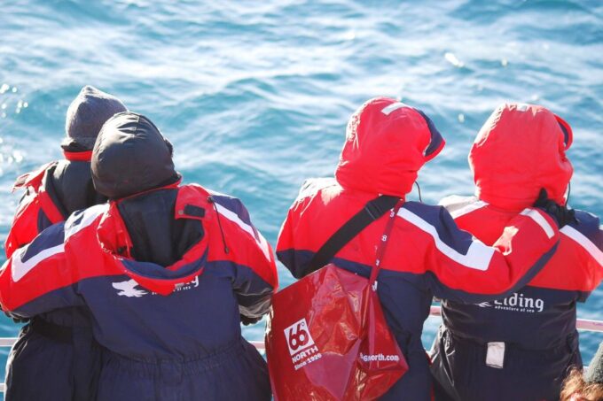 Reykjavik: 3-Hour Whale Watching Tour - Booking Your Tour