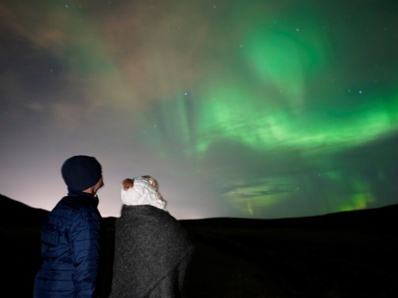 Reykjavik: Aurora Minibus w/ Pro Photos & Free Retry - Authenticity & Customer Feedback